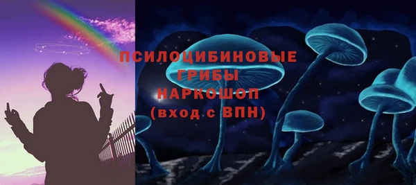 кокс Алексин