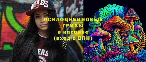 кокс Алексин