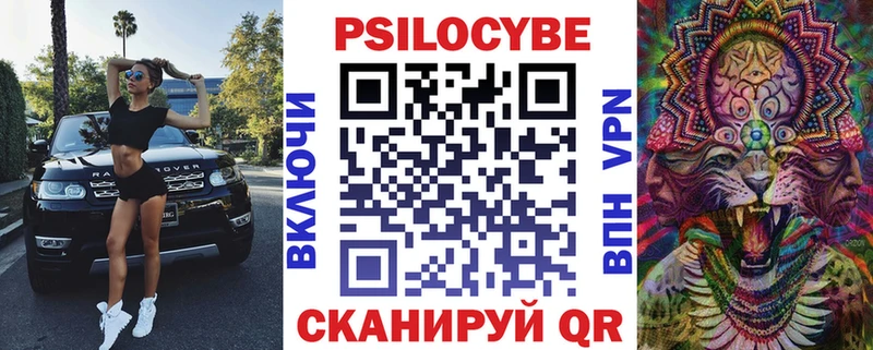 блэк спрут зеркало  Луза  Псилоцибиновые грибы GOLDEN TEACHER 